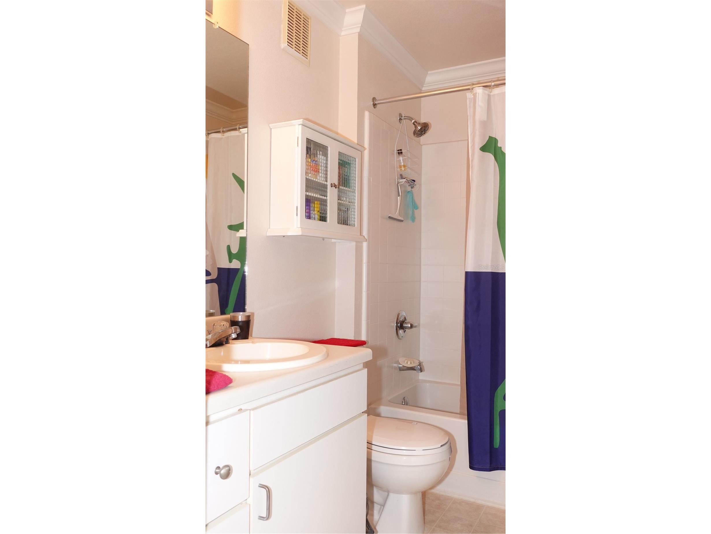 18281 Bridle Club Drive Tampa FL 33647 TB8488932 image15