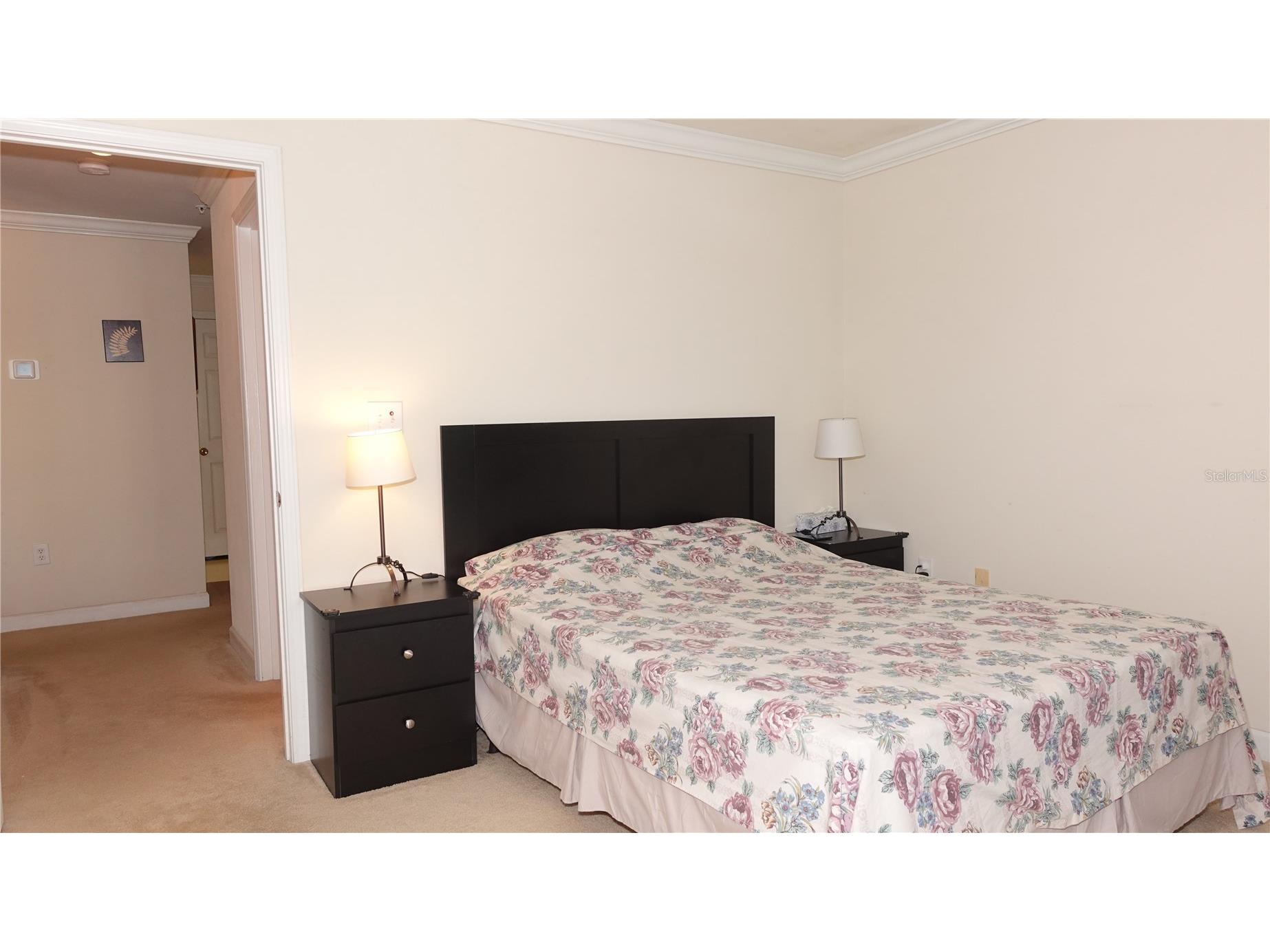 18281 Bridle Club Drive Tampa FL 33647 TB8488932 image16