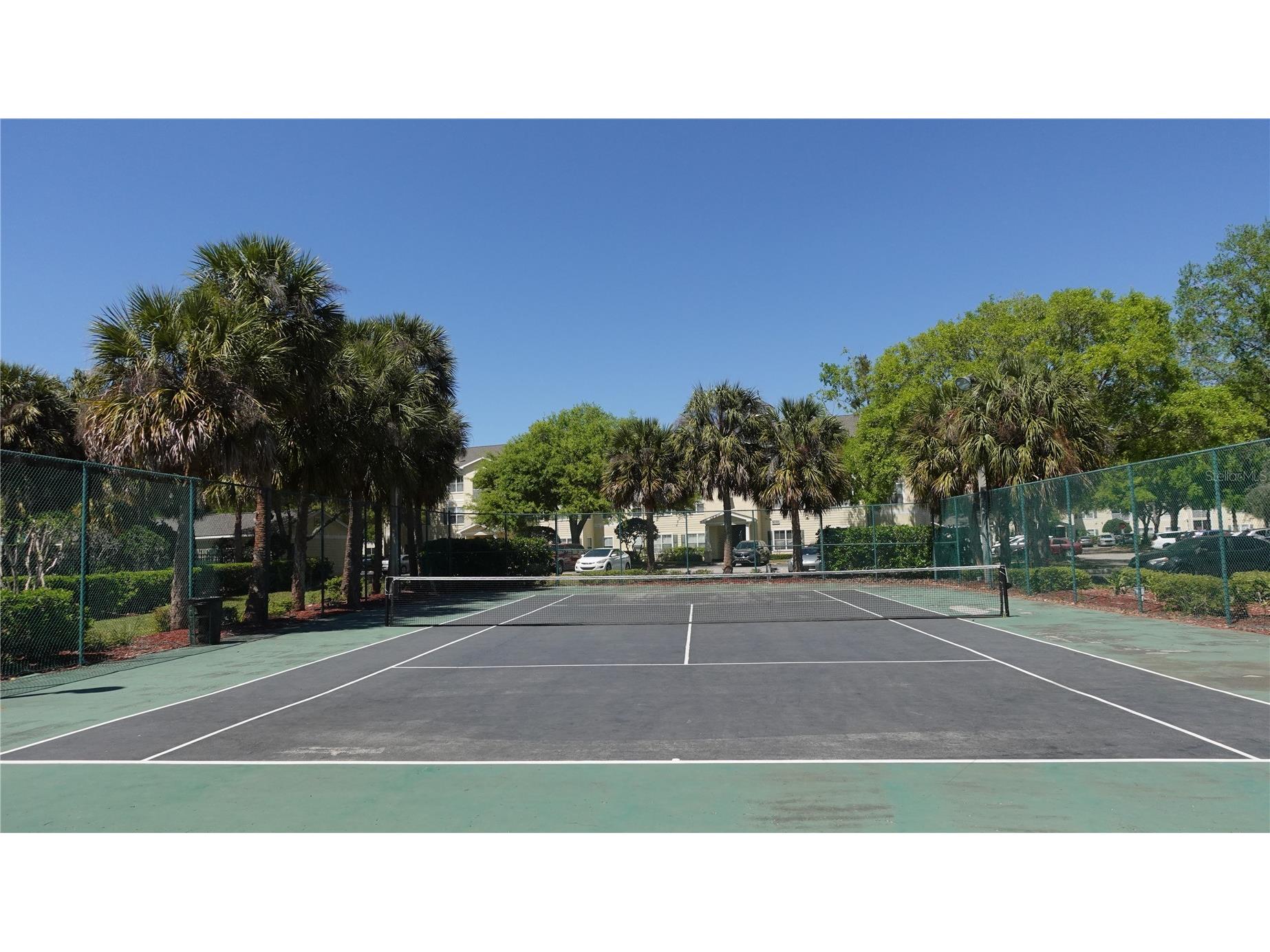 18281 Bridle Club Drive Tampa FL 33647 TB8488932 image20