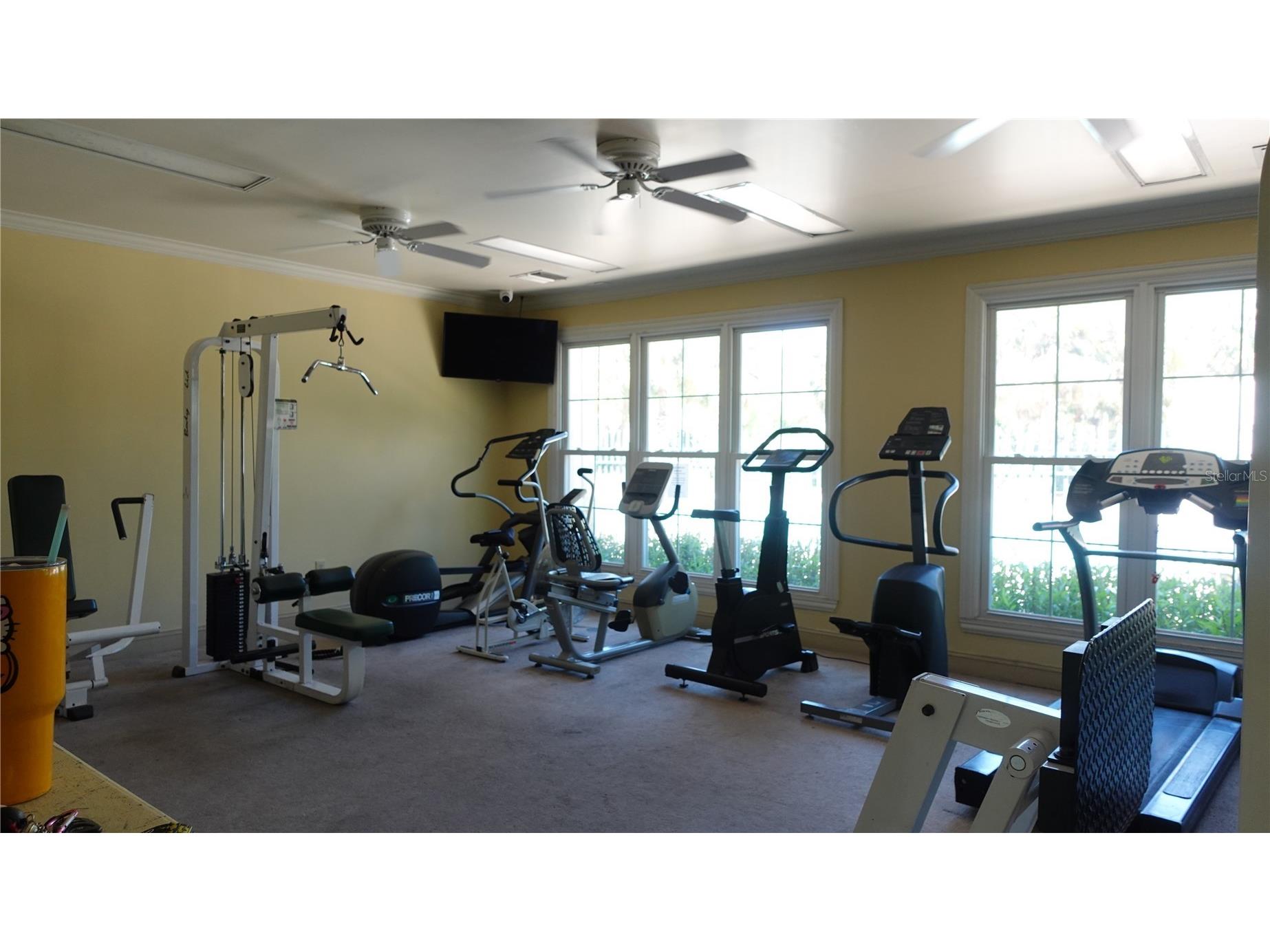 18281 Bridle Club Drive Tampa FL 33647 TB8488932 image8