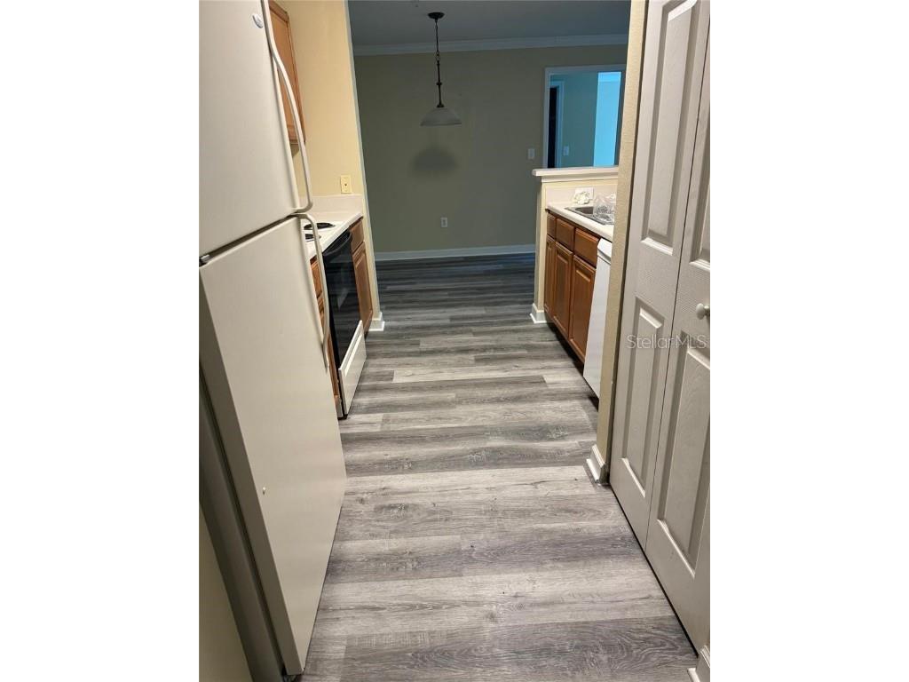 18283 Bridle Club Drive #18283 Tampa FL 33647 TB8439994 image6