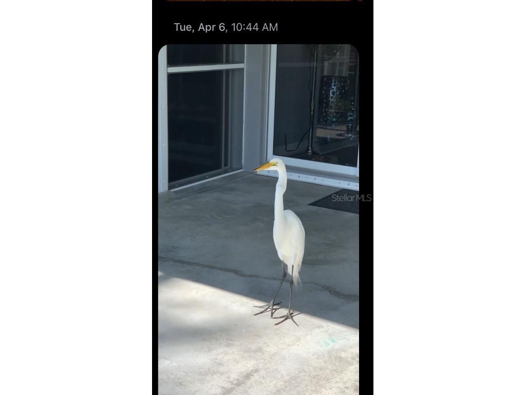 18289 Wolbrette Circle Port Charlotte FL 33948 - ACKERMAN C7441411 image37