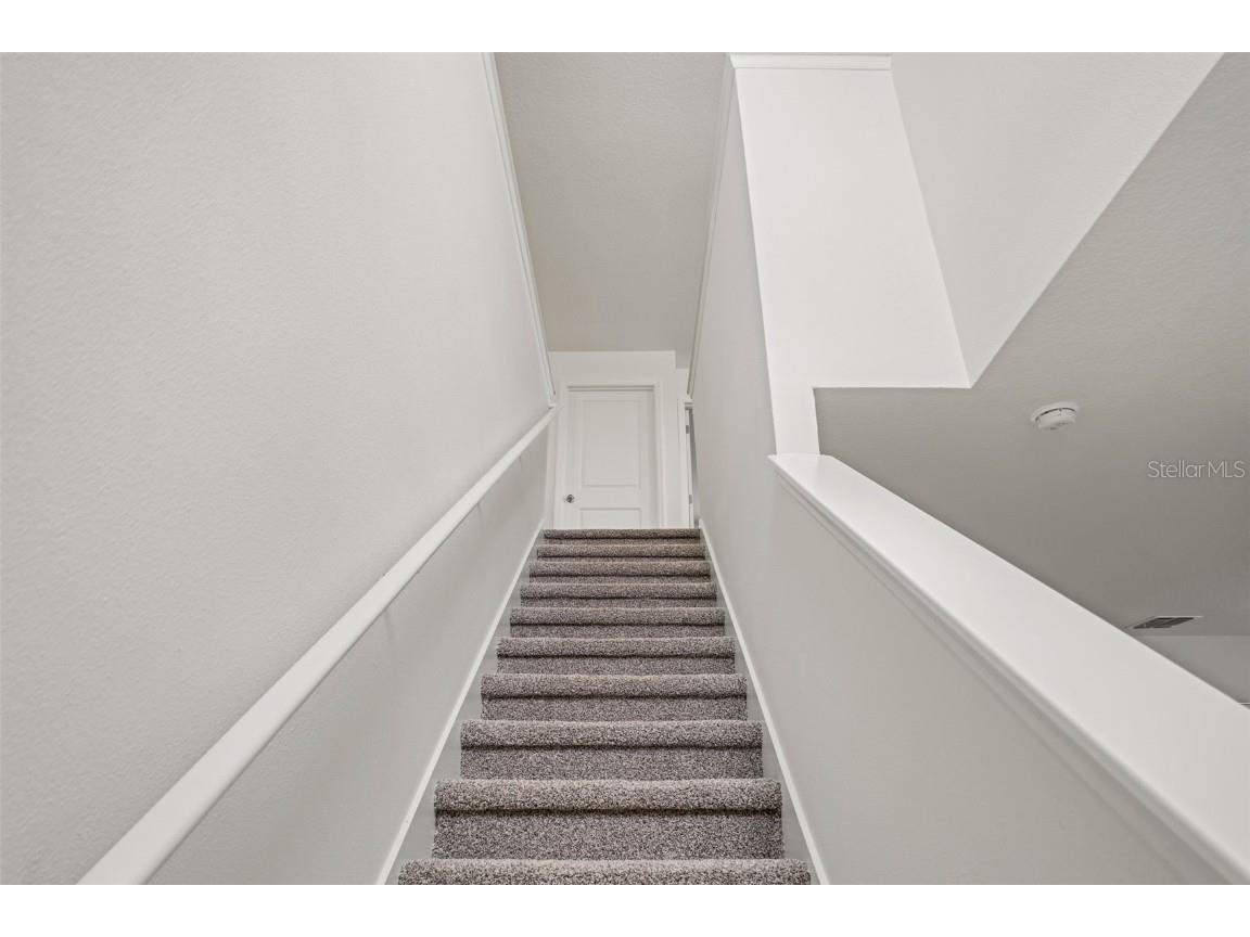 1829 Draughton Drive Zephyrhills FL 33541 TB8395189 image22