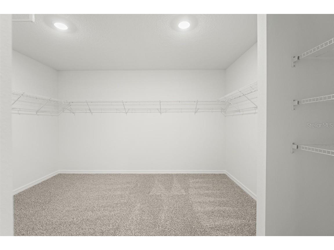 1829 Draughton Drive Zephyrhills FL 33541 TB8395189 image36