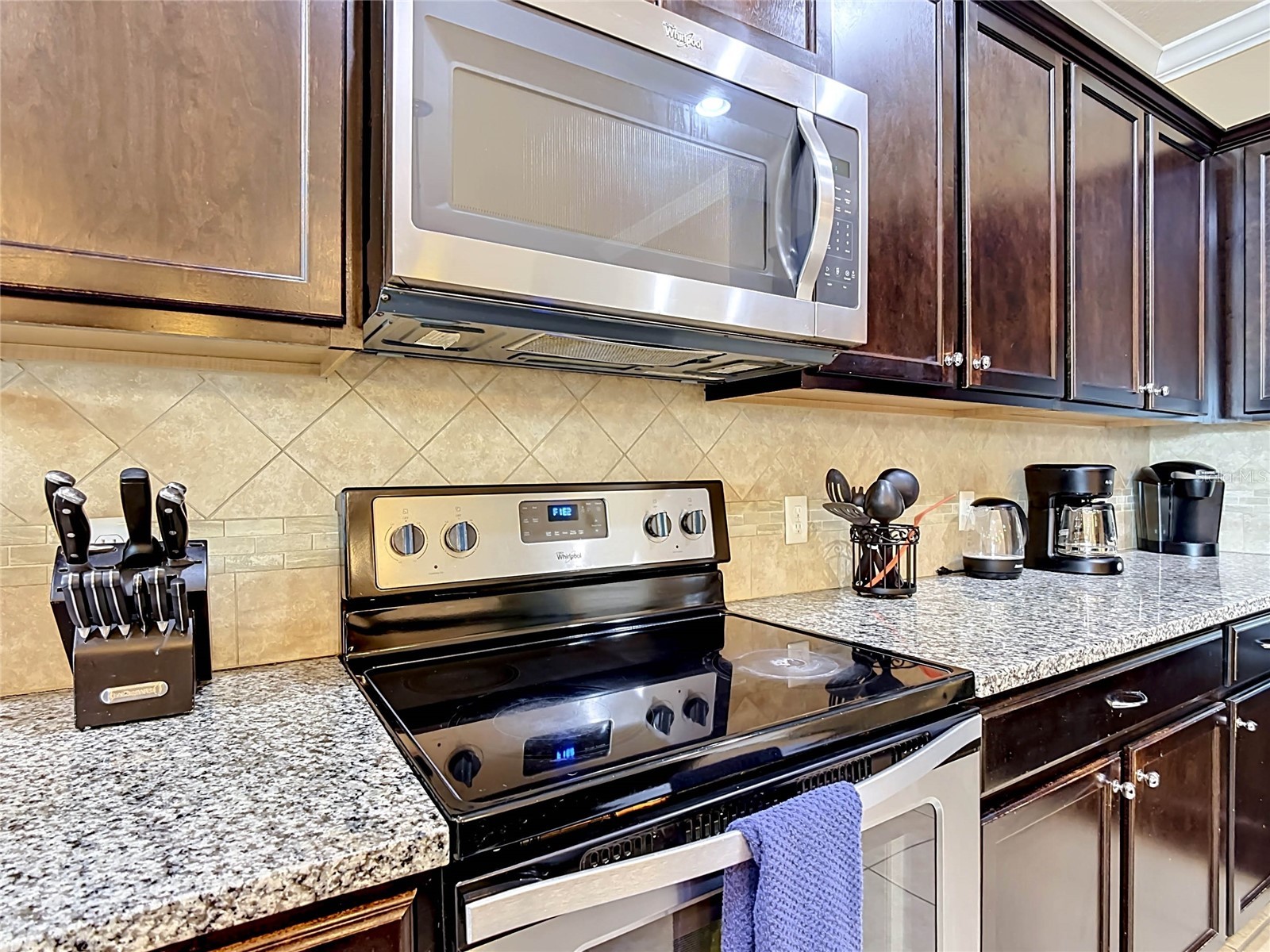 1829 Gobi Drive Kissimmee FL 34747 O6412821 image10