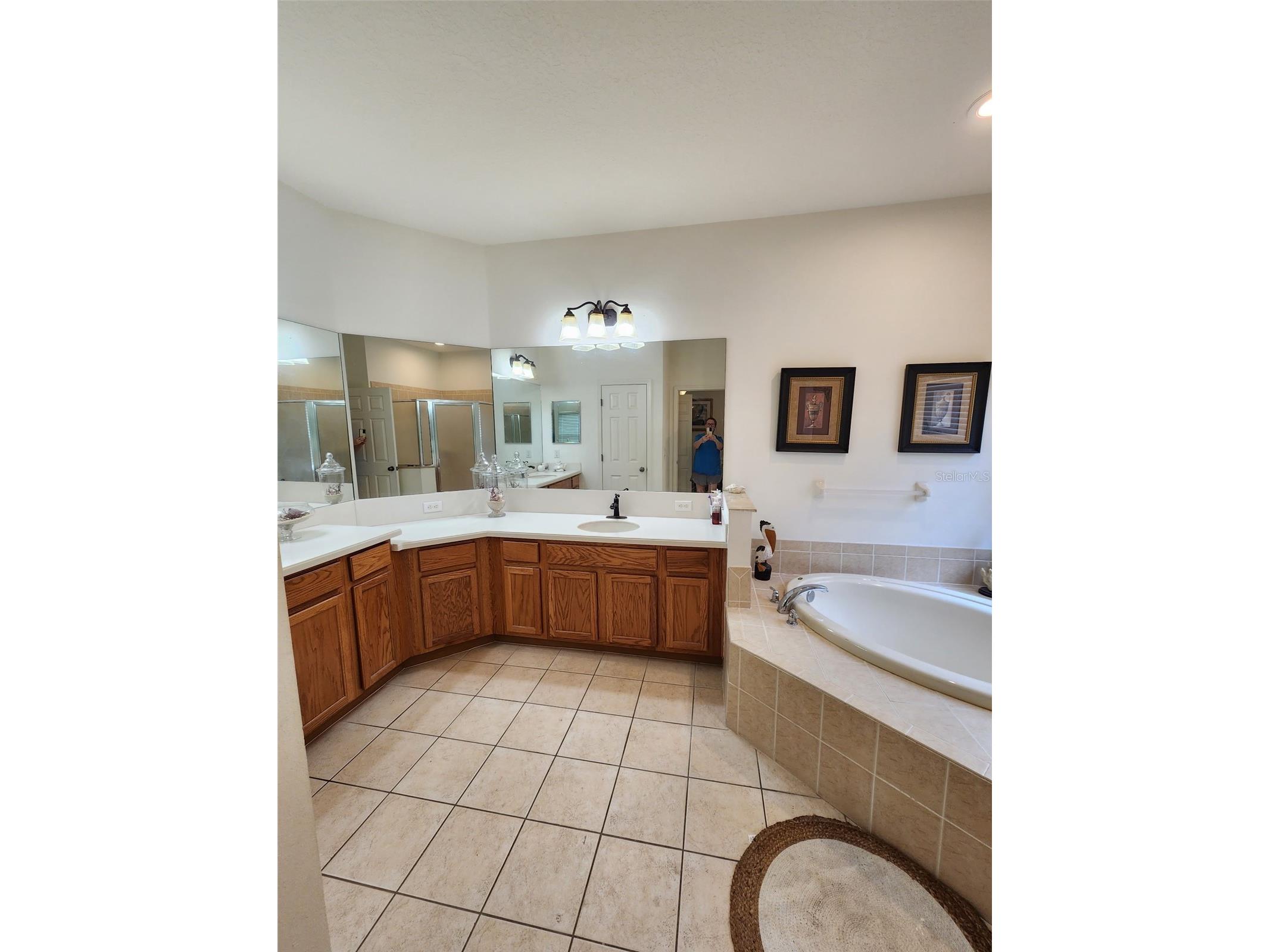 1829 Mira Lago Circle Ruskin FL 33570 O6379580 image19