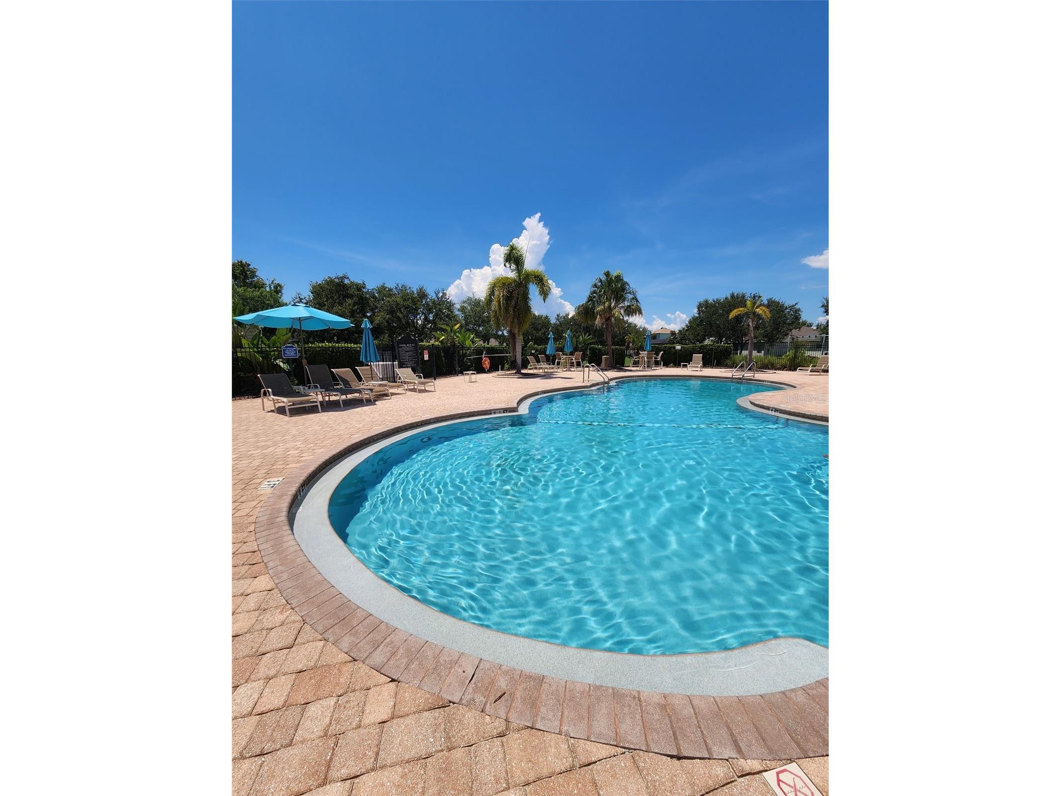 1829 Mira Lago Circle Ruskin FL 33570 O6379580 image25