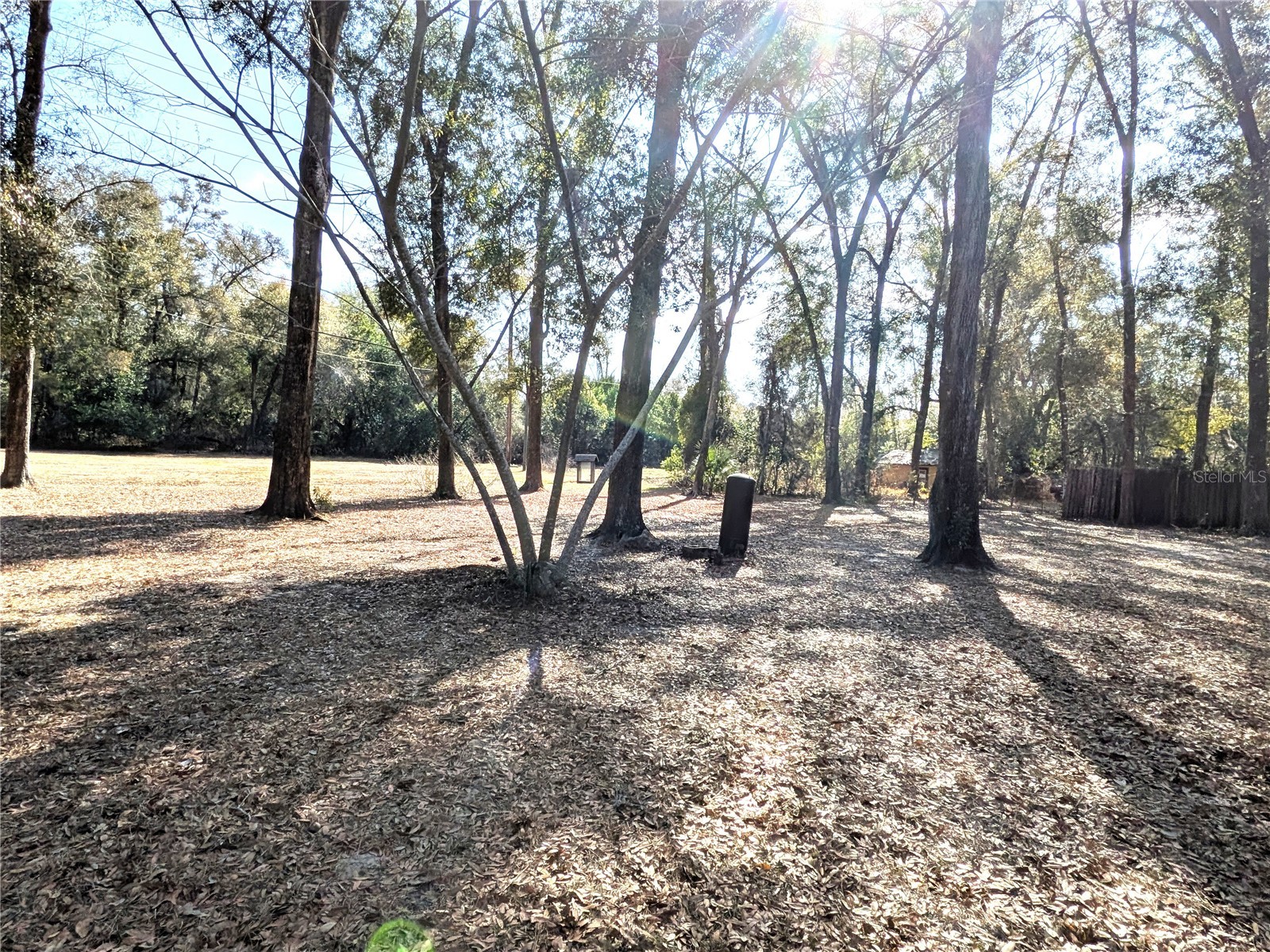 1829 N Croft Avenue Inverness FL 34453 OM718983 image32