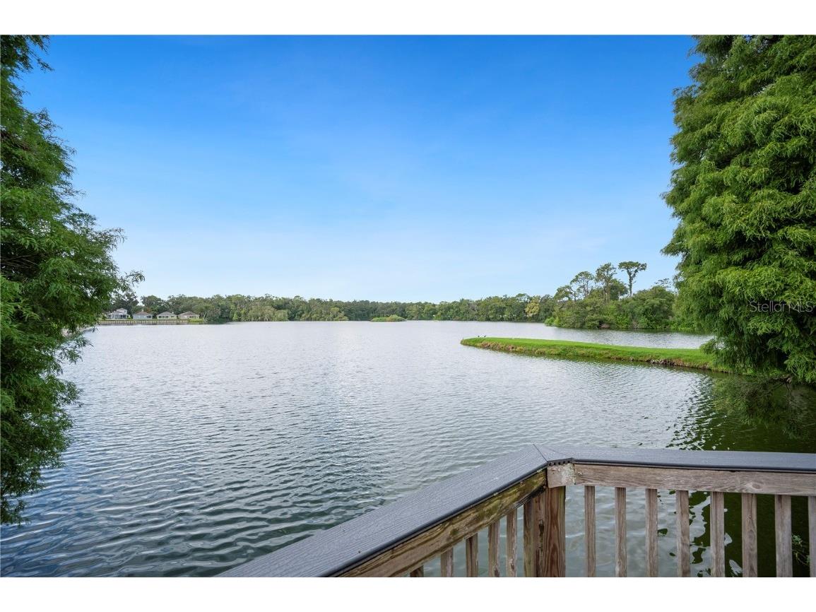 1829 Rocky Pointe Drive Lakeland FL 33813 L4955430 image11