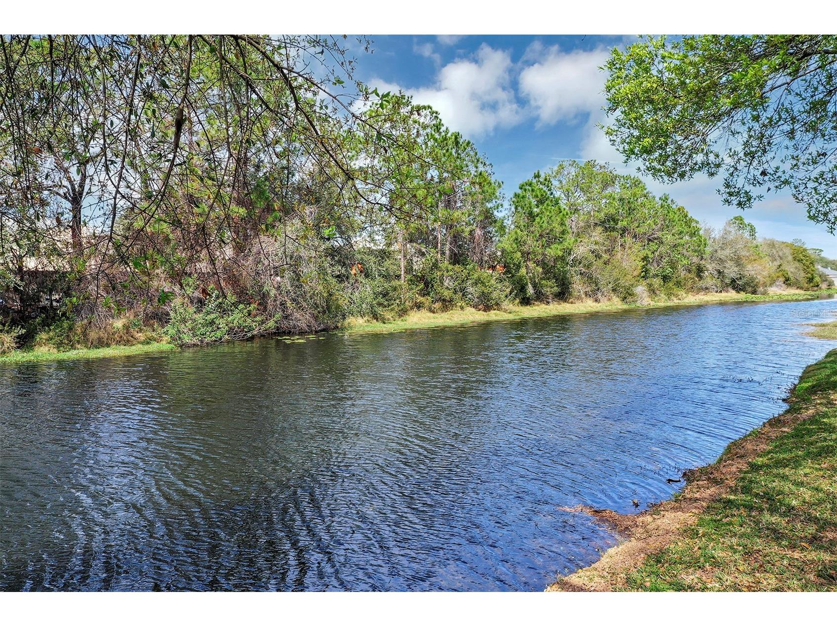 1829 Snaresbrook Way Orlando FL 32837 O6386203 image6