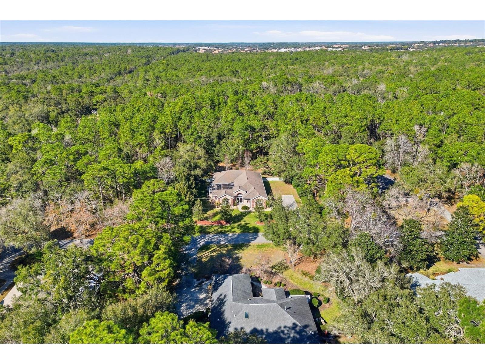 1829 W Redding Street Hernando FL 34442 TB8475584 image44