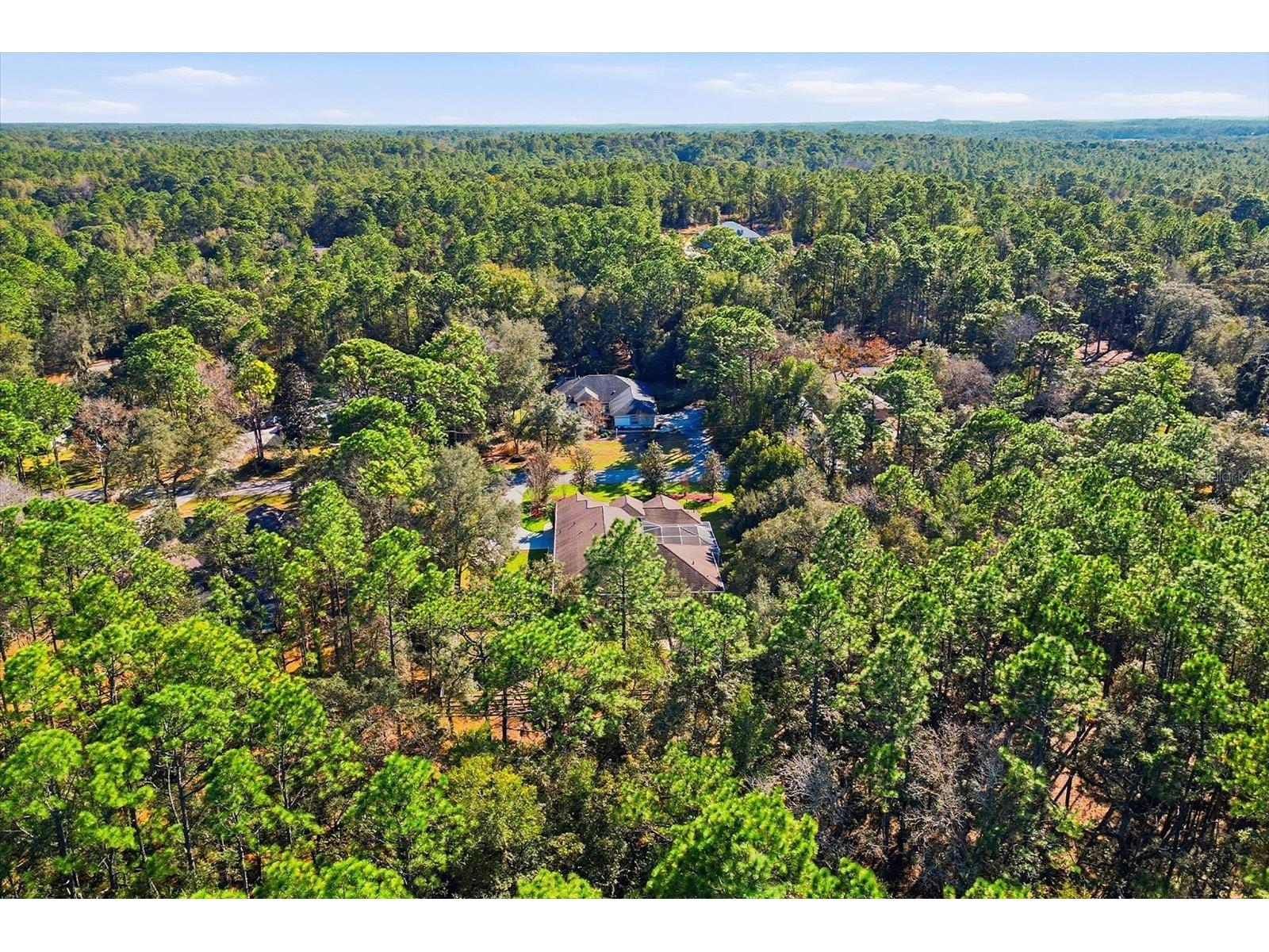 1829 W Redding Street Hernando FL 34442 TB8475584 image45