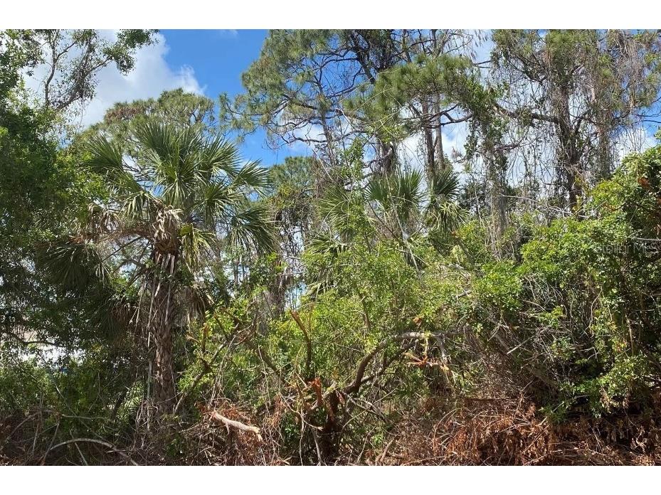 18290 Eblis Avenue Port Charlotte FL 33948 C7492140 image2