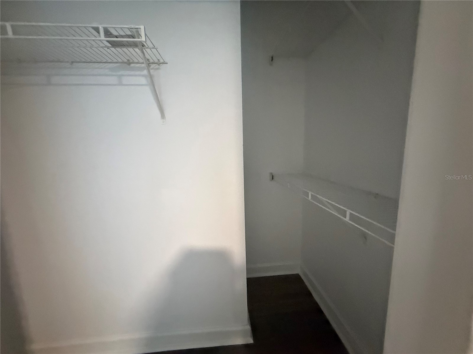 18293 Bridle Club Drive #18293 Tampa FL 33647 TB8532459 image11