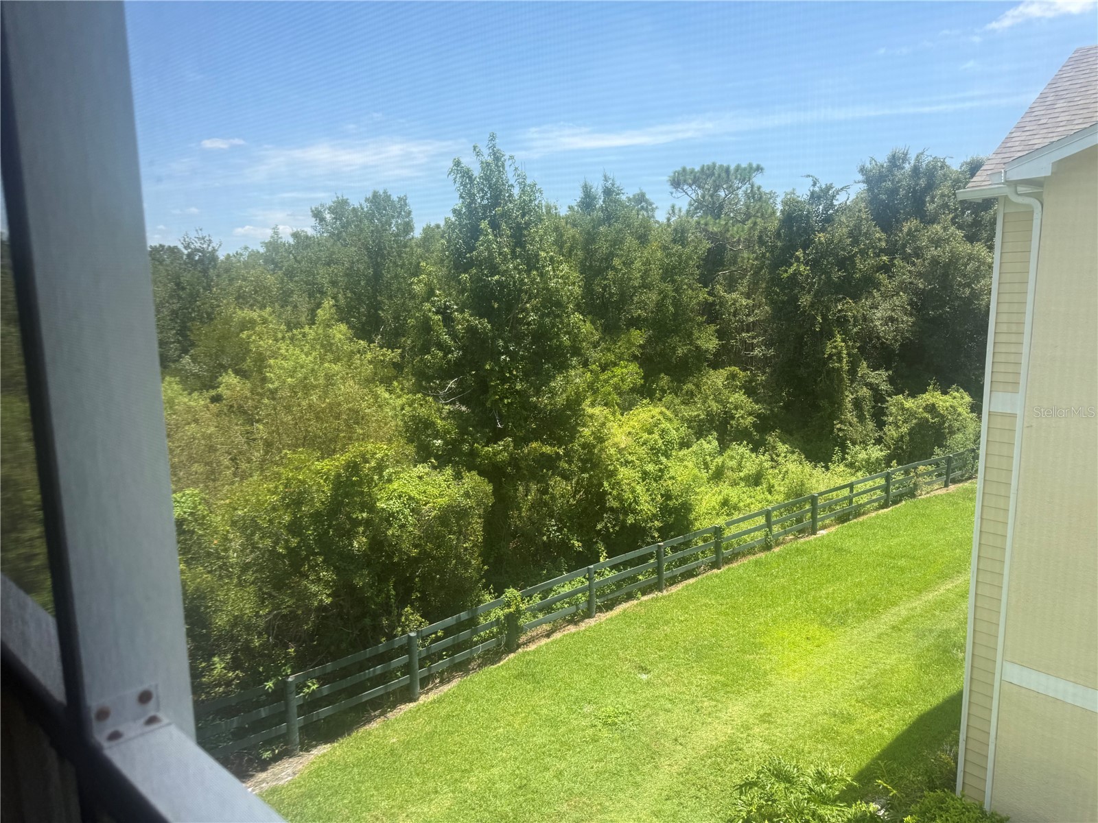 18293 Bridle Club Drive #18293 Tampa FL 33647 TB8532459 image15