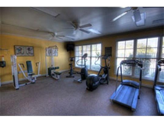 18293 Bridle Club Drive #18293 Tampa FL 33647 TB8532459 image19