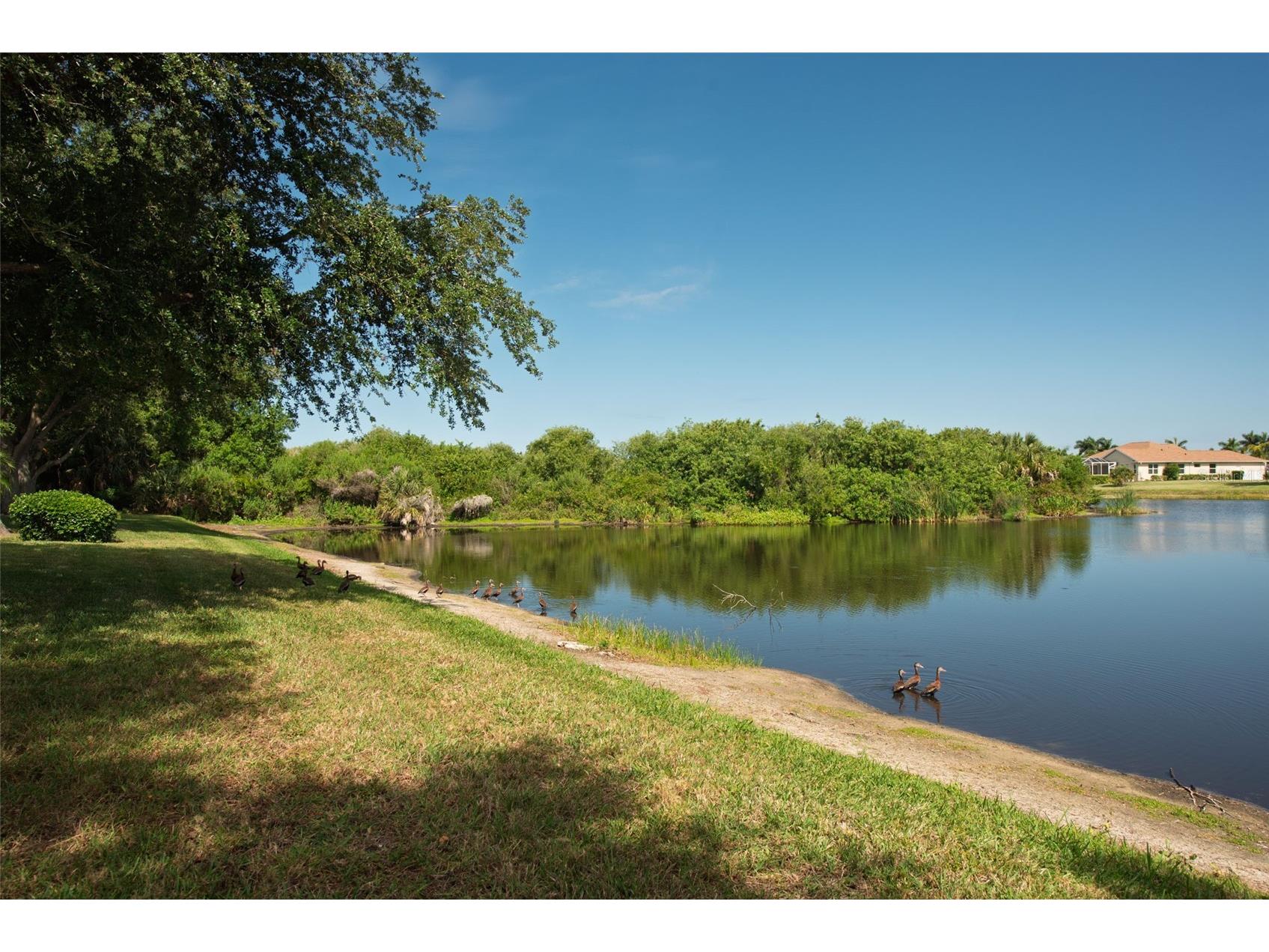 183 Clear Lake Drive Englewood FL 34223 D6147120 image61