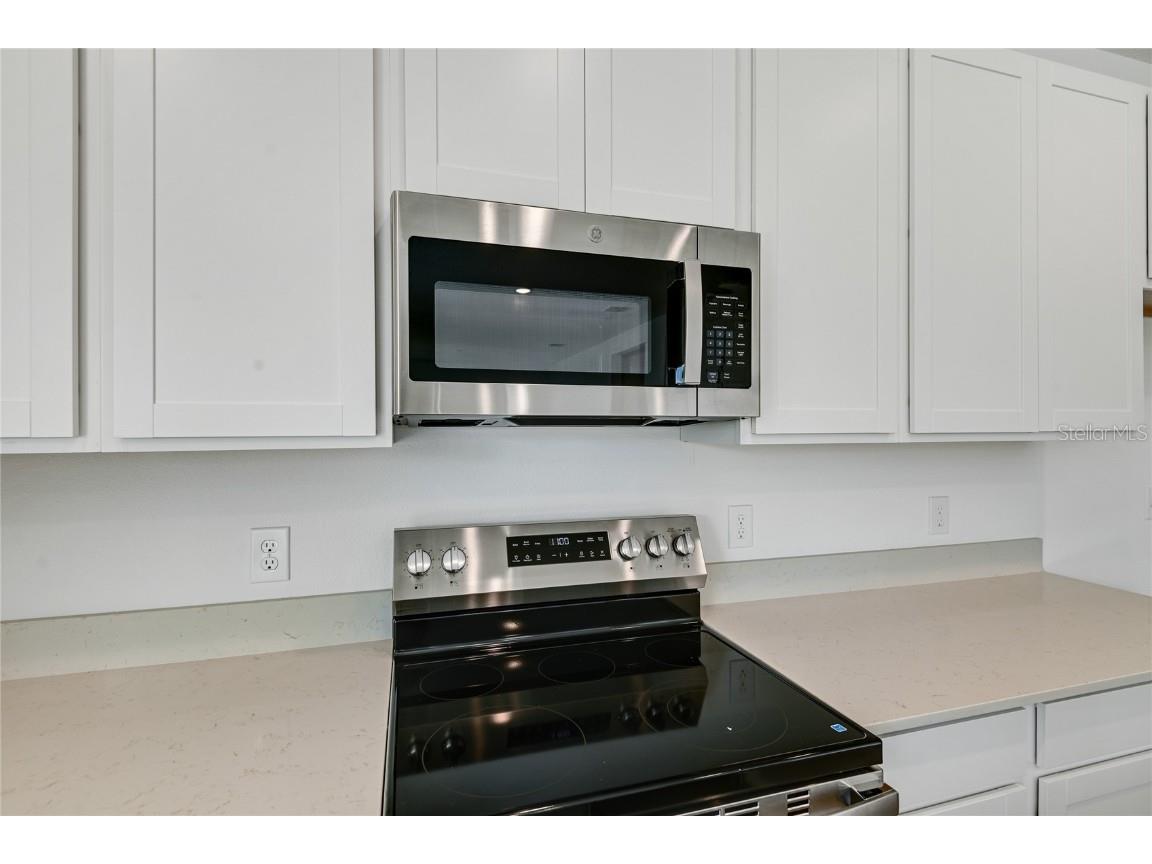 183 Flag Lilly Lane Umatilla FL 32784 S5125965 image4