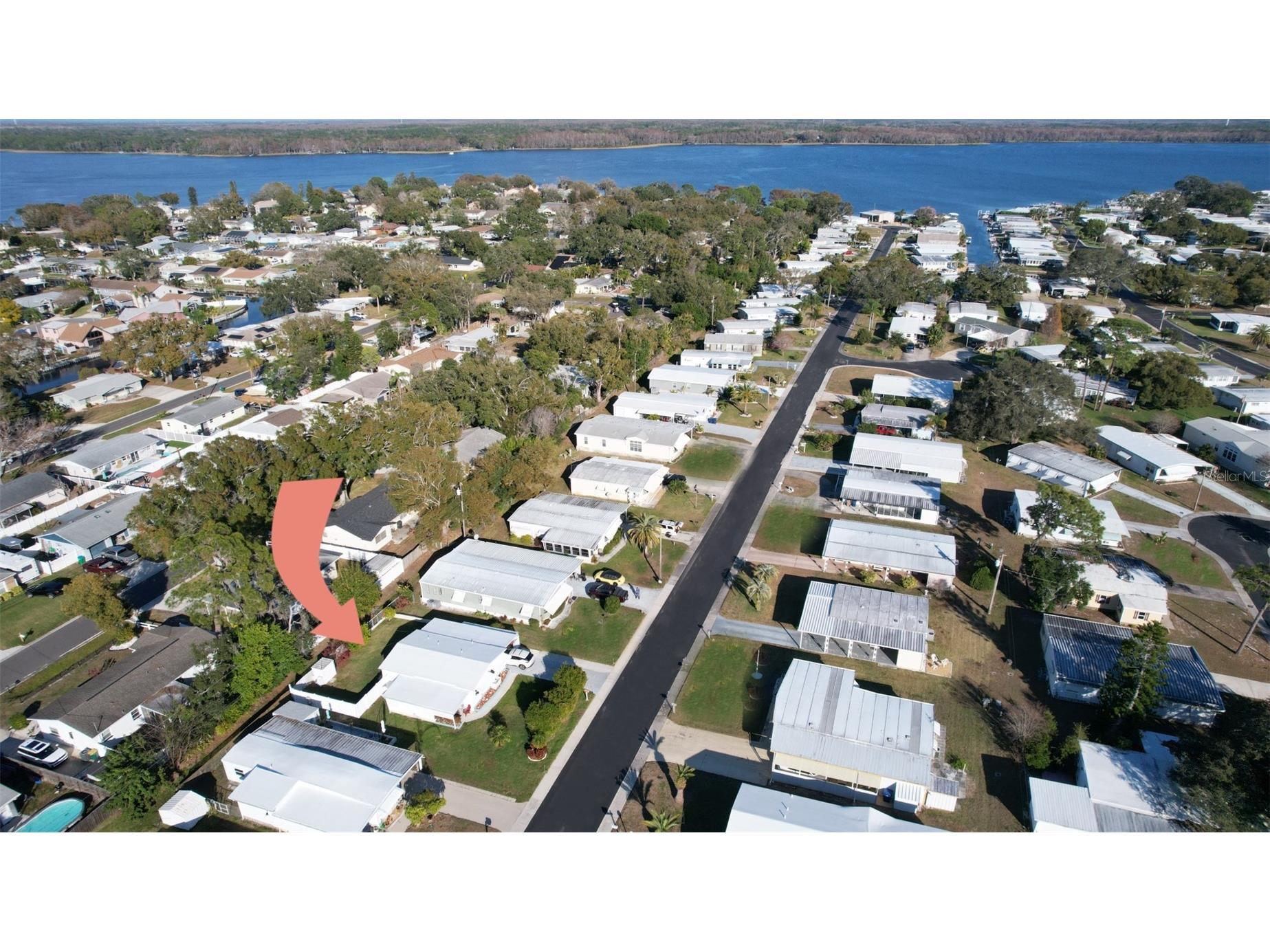 183 Philadelphia Boulevard #22 Palm Harbor FL 34684 - LAKE TARPON TB8472173 image3
