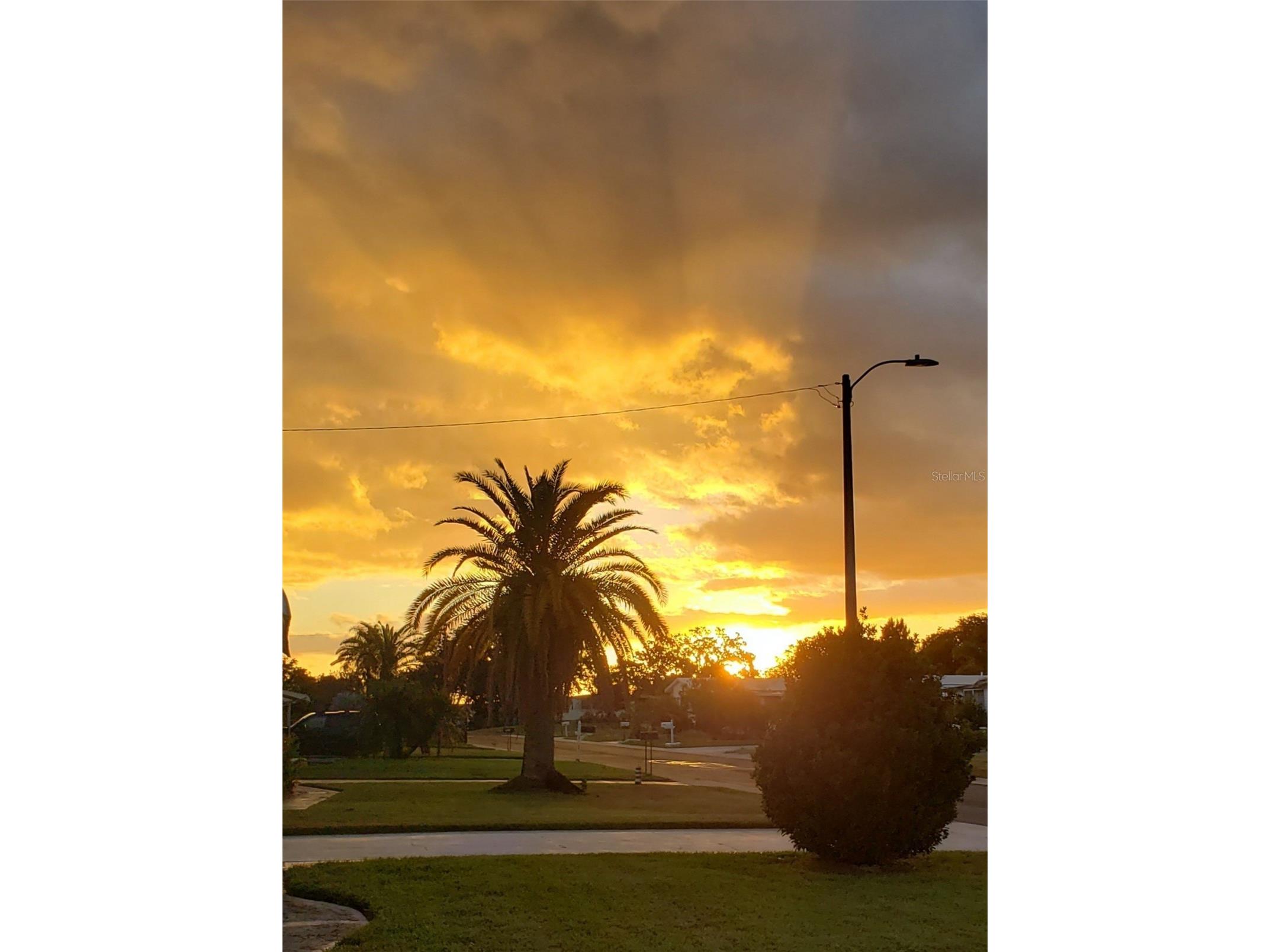 183 Philadelphia Boulevard #22 Palm Harbor FL 34684 - LAKE TARPON TB8472173 image38