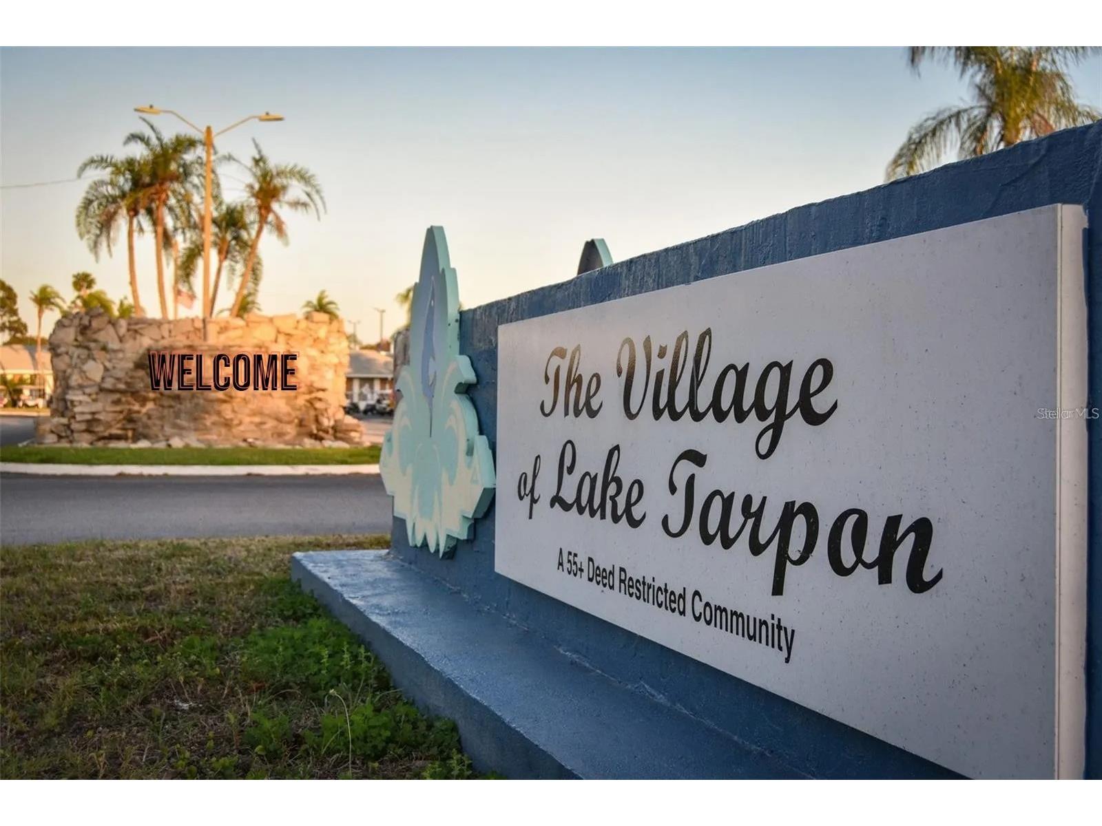 183 Philadelphia Boulevard #22 Palm Harbor FL 34684 - LAKE TARPON TB8472173 image9