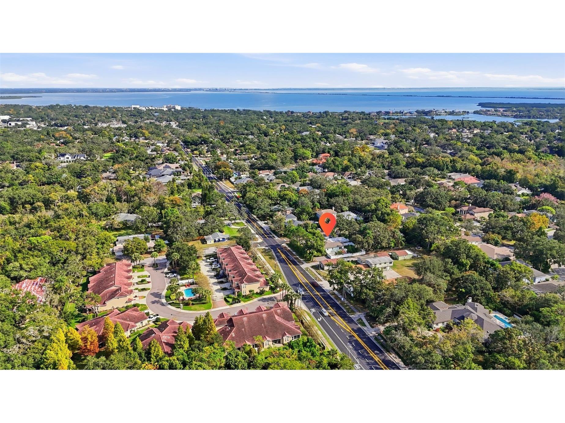 1830 Main Street Safety Harbor FL 34695 TB8453535 image81