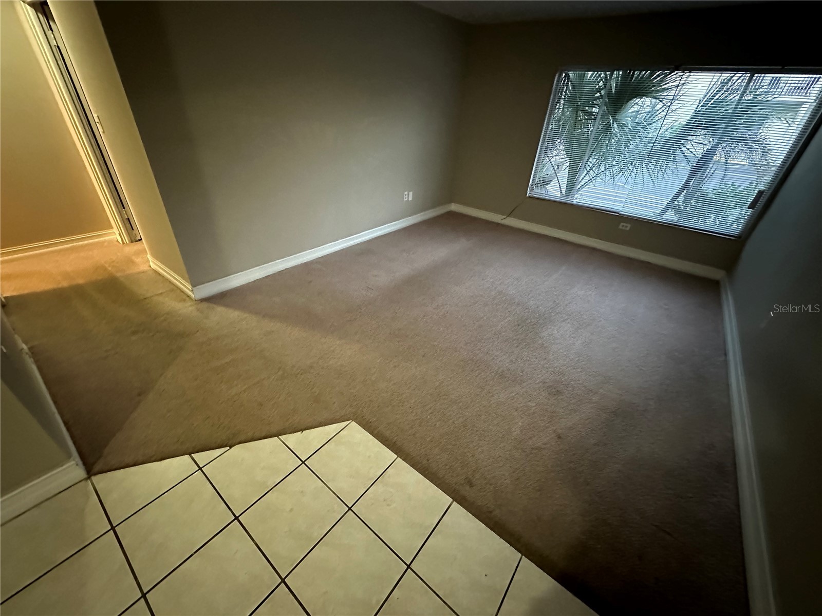 1830 Maravilla Avenue #206 Fort Myers FL 33901 O6383629 image22