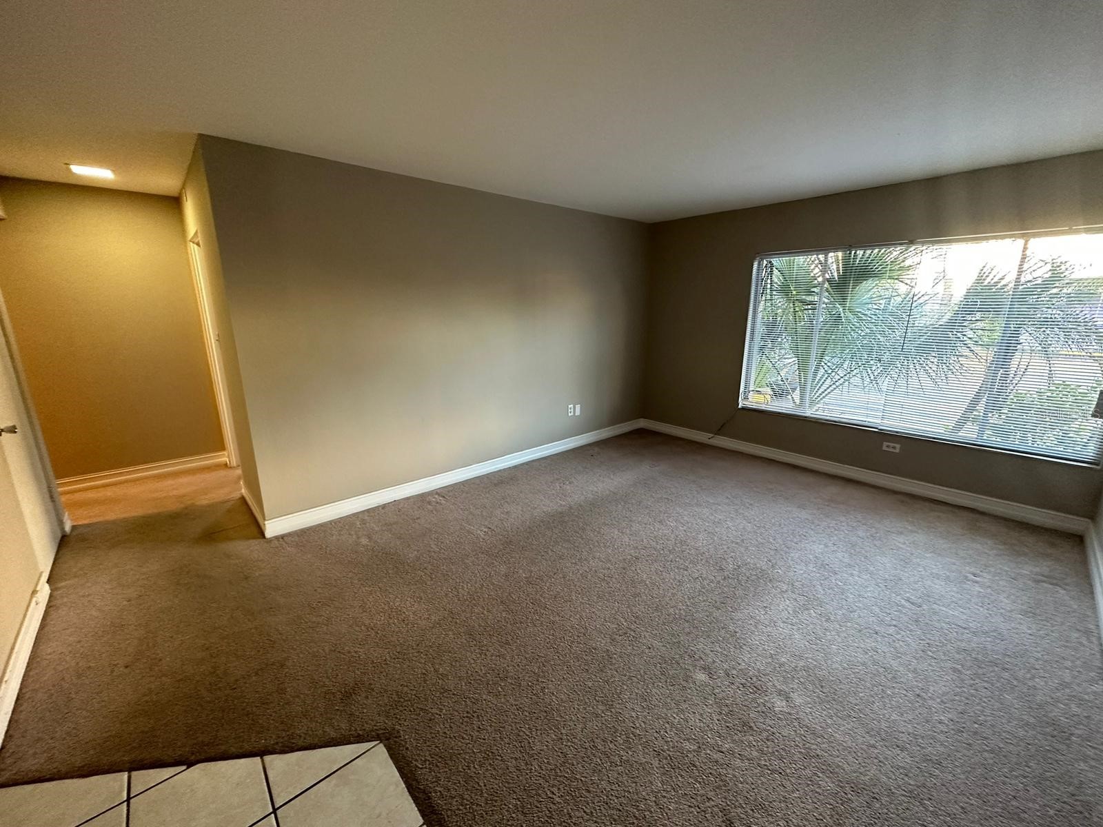 1830 Maravilla Avenue #206 Fort Myers FL 33901 O6383629 image41