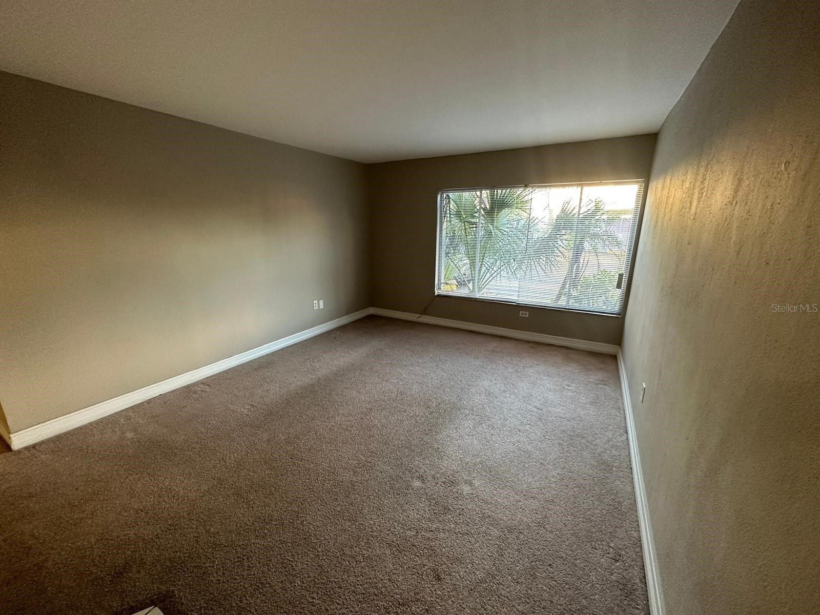 1830 Maravilla Avenue #206 Fort Myers FL 33901 O6383629 image42