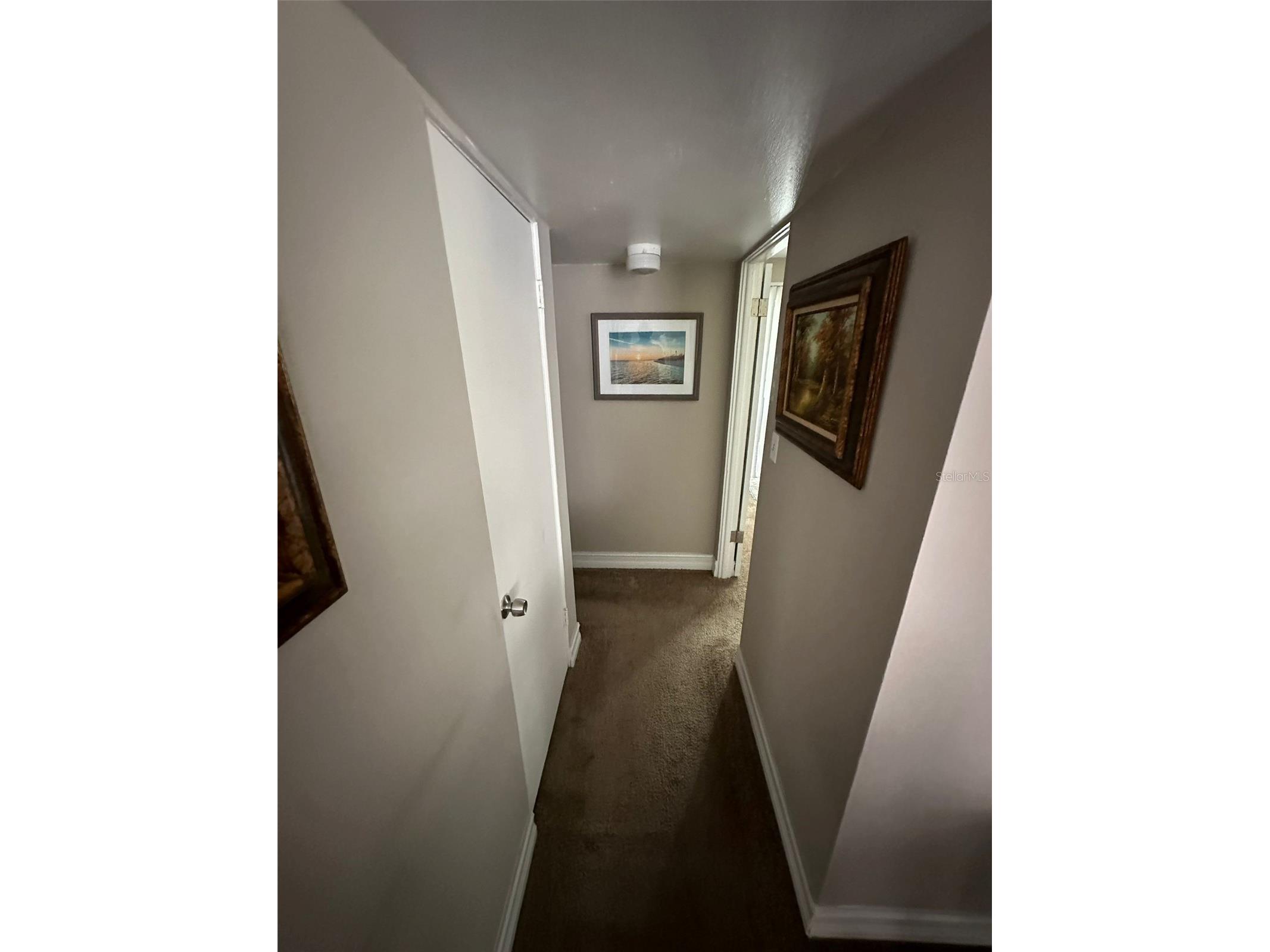 1830 Maravilla Avenue #317 Fort Myers FL 33901 O6397894 image22