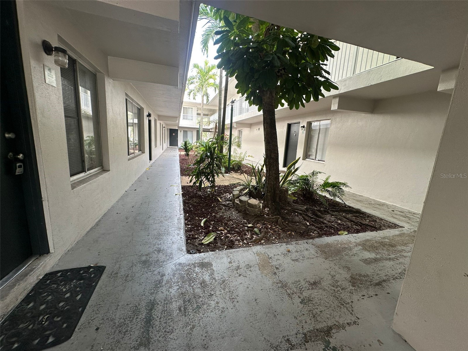 1830 Maravilla Avenue #704 Fort Myers FL 33901 O6385378 image5