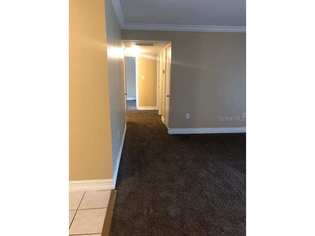 1830 Maravilla Avenue #713 Fort Myers FL 33901 O6363550 image33