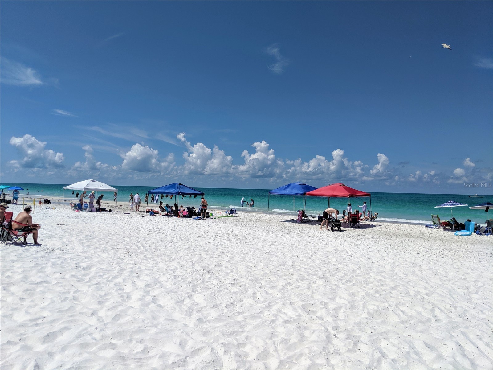 1830 Restful Drive #M-33 Bradenton FL 34207 A4693546 image24