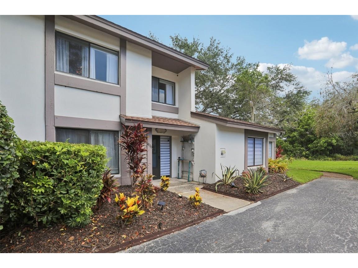 1830 S Cypress Trace Drive Safety Harbor FL 34695 TB8399334 image1