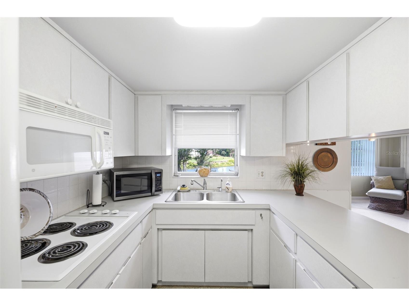 1830 S Mandarin Terrace Inverness FL 34450 - TSALA APOPKA LAKE W7886090 image13
