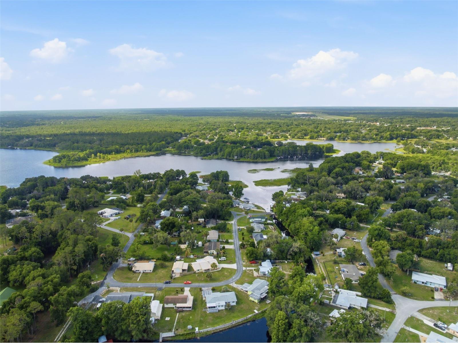 1830 S Mandarin Terrace Inverness FL 34450 - TSALA APOPKA LAKE W7886090 image32