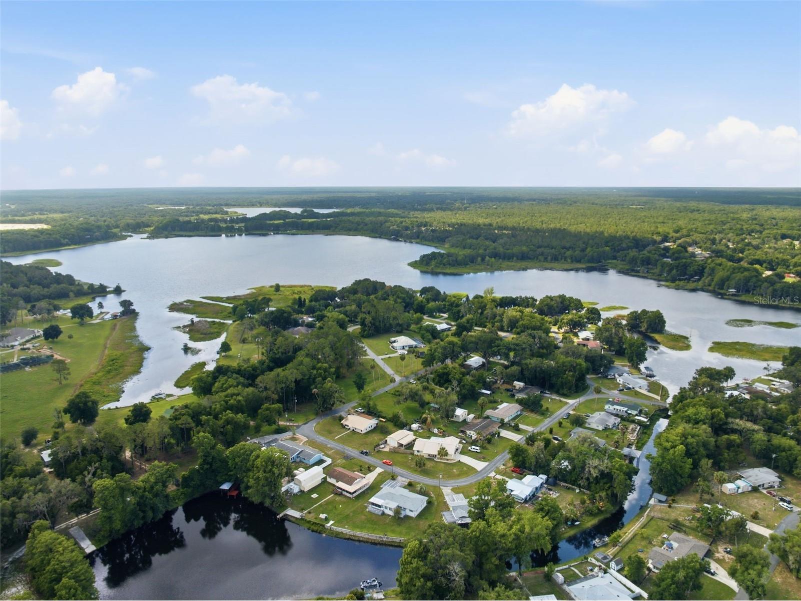 1830 S Mandarin Terrace Inverness FL 34450 - TSALA APOPKA LAKE W7886090 image33