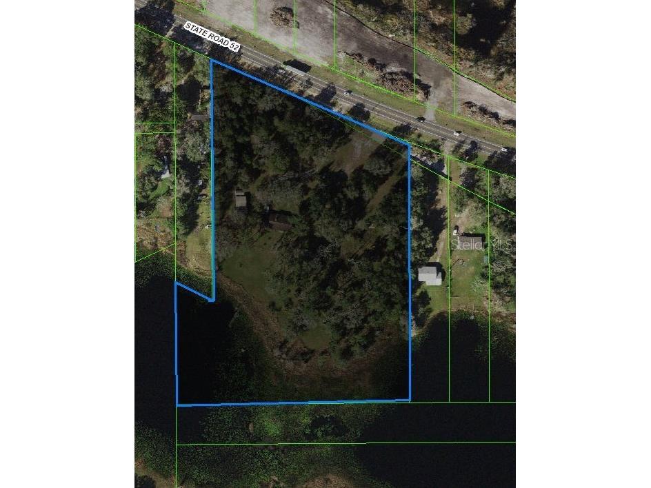 18300 State Road 52 Land O Lakes FL 34638 - LAKE PIERCE TB8309779 image2