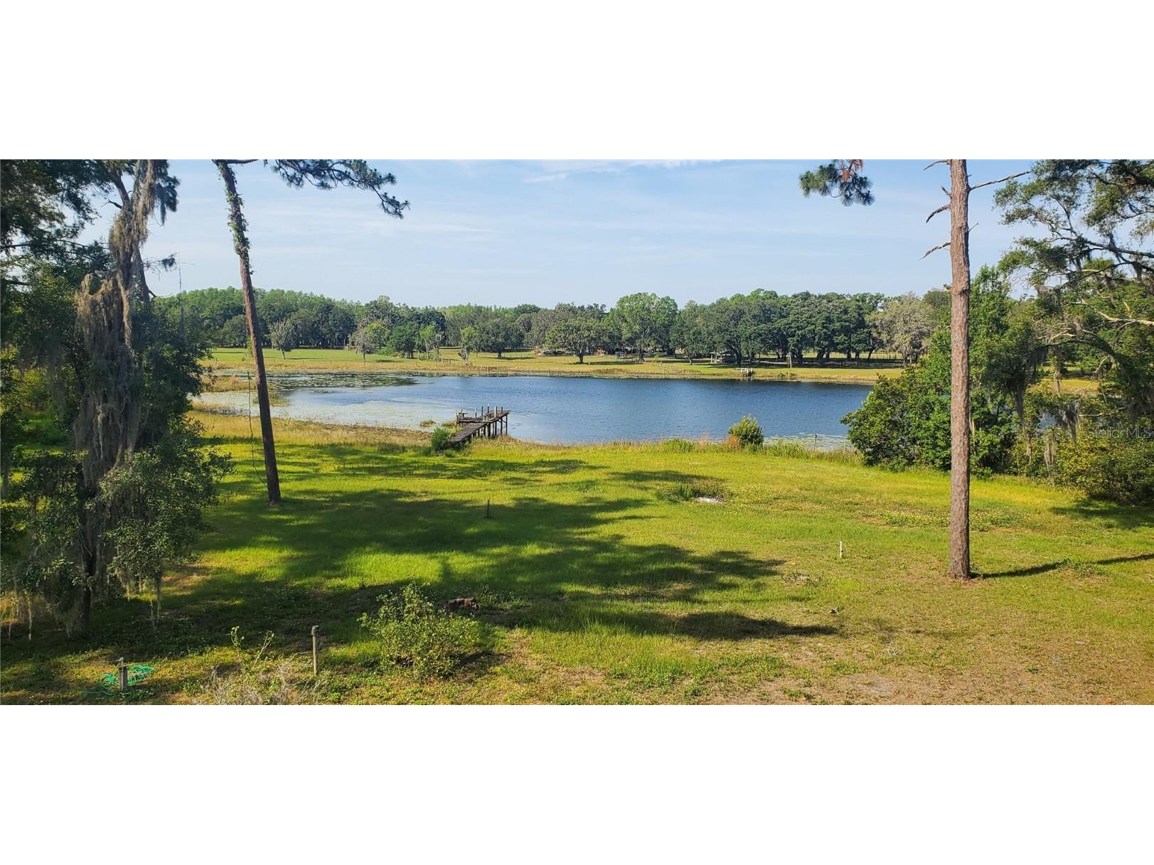 18300 State Road 52 Land O Lakes FL 34638 - LAKE PIERCE TB8309779 image3