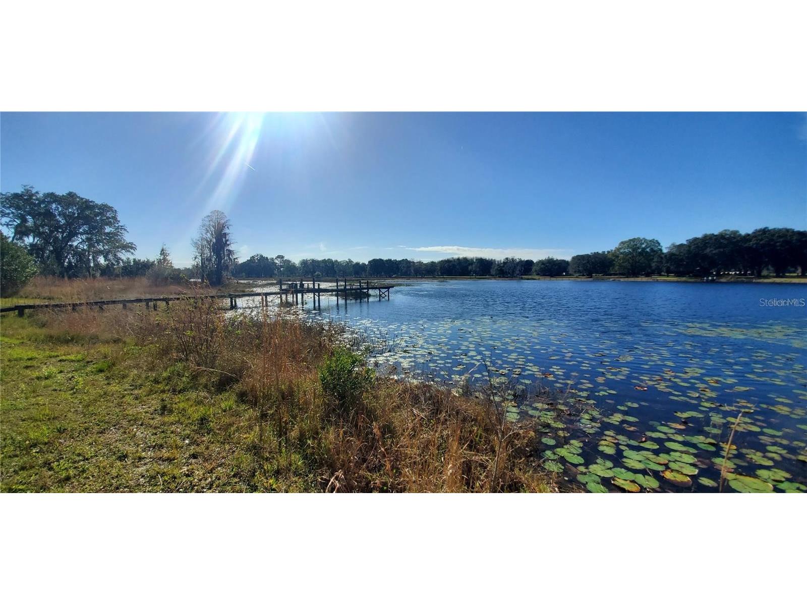18300 State Road 52 Land O Lakes FL 34638 - LAKE PIERCE TB8309779 image4