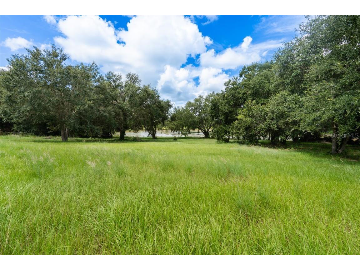 18301 S Obrien Road Groveland FL 34736 TB8425203 image20