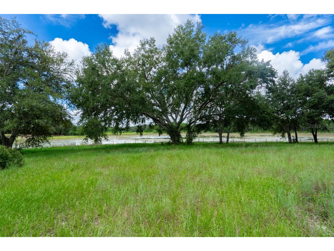 18301 S Obrien Road Groveland FL 34736 TB8425203 image21