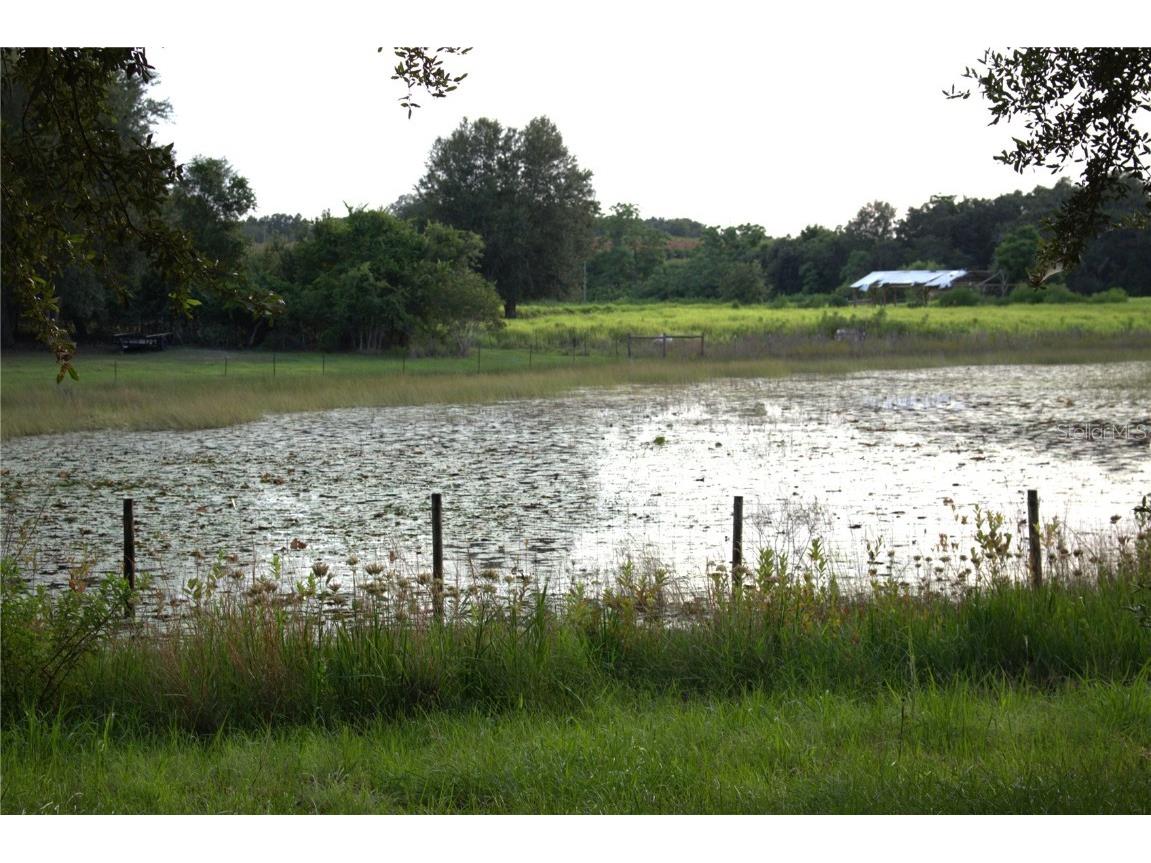 18301 S Obrien Road Groveland FL 34736 TB8425203 image32