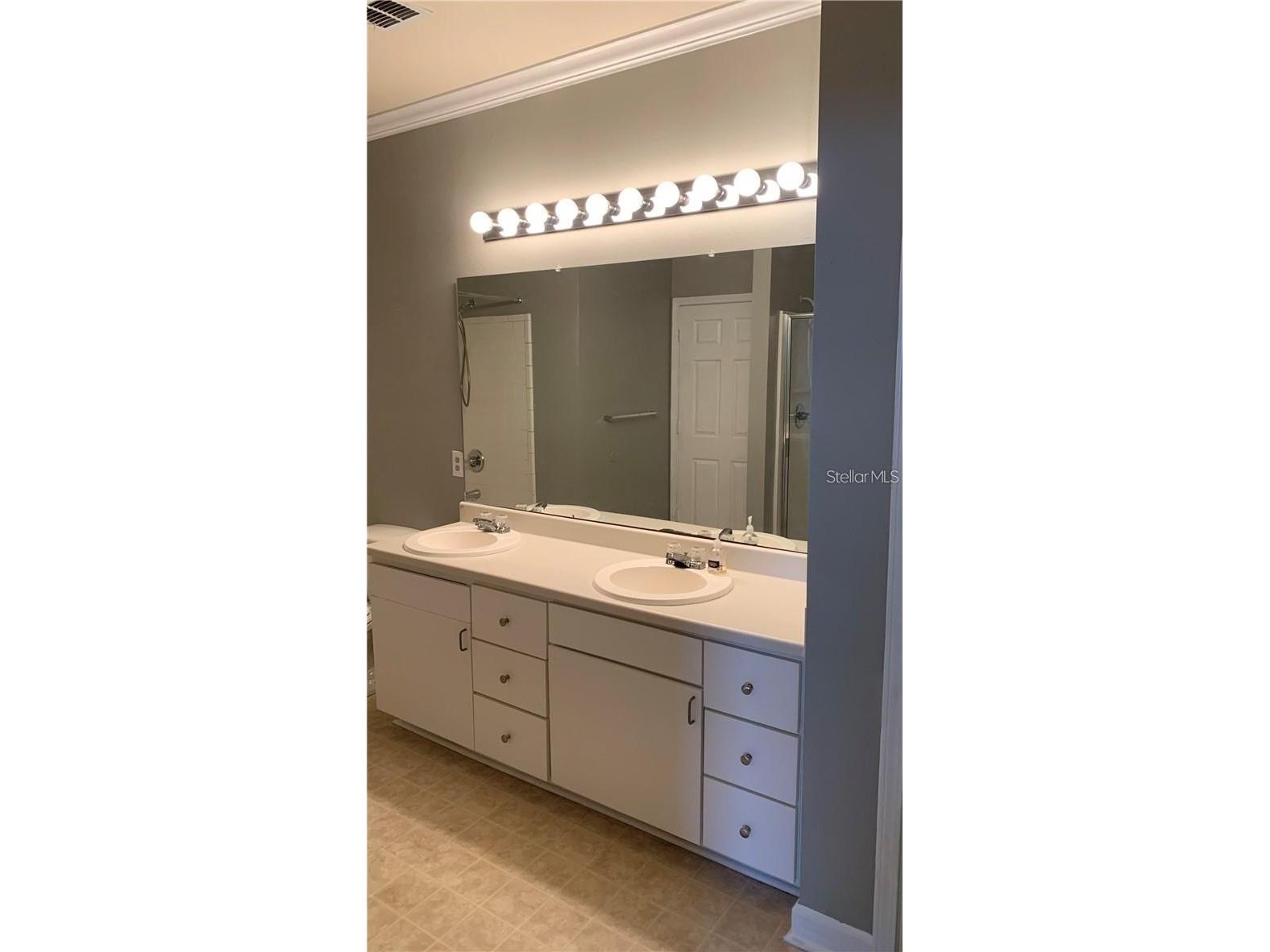18302 Bridle Club Drive #18302 Tampa FL 33647 TB8493382 image10