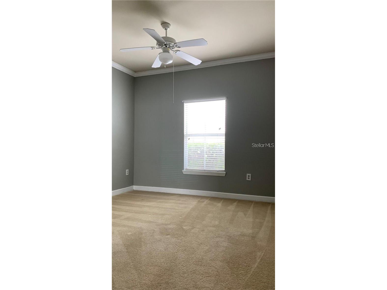18302 Bridle Club Drive #18302 Tampa FL 33647 TB8493382 image11
