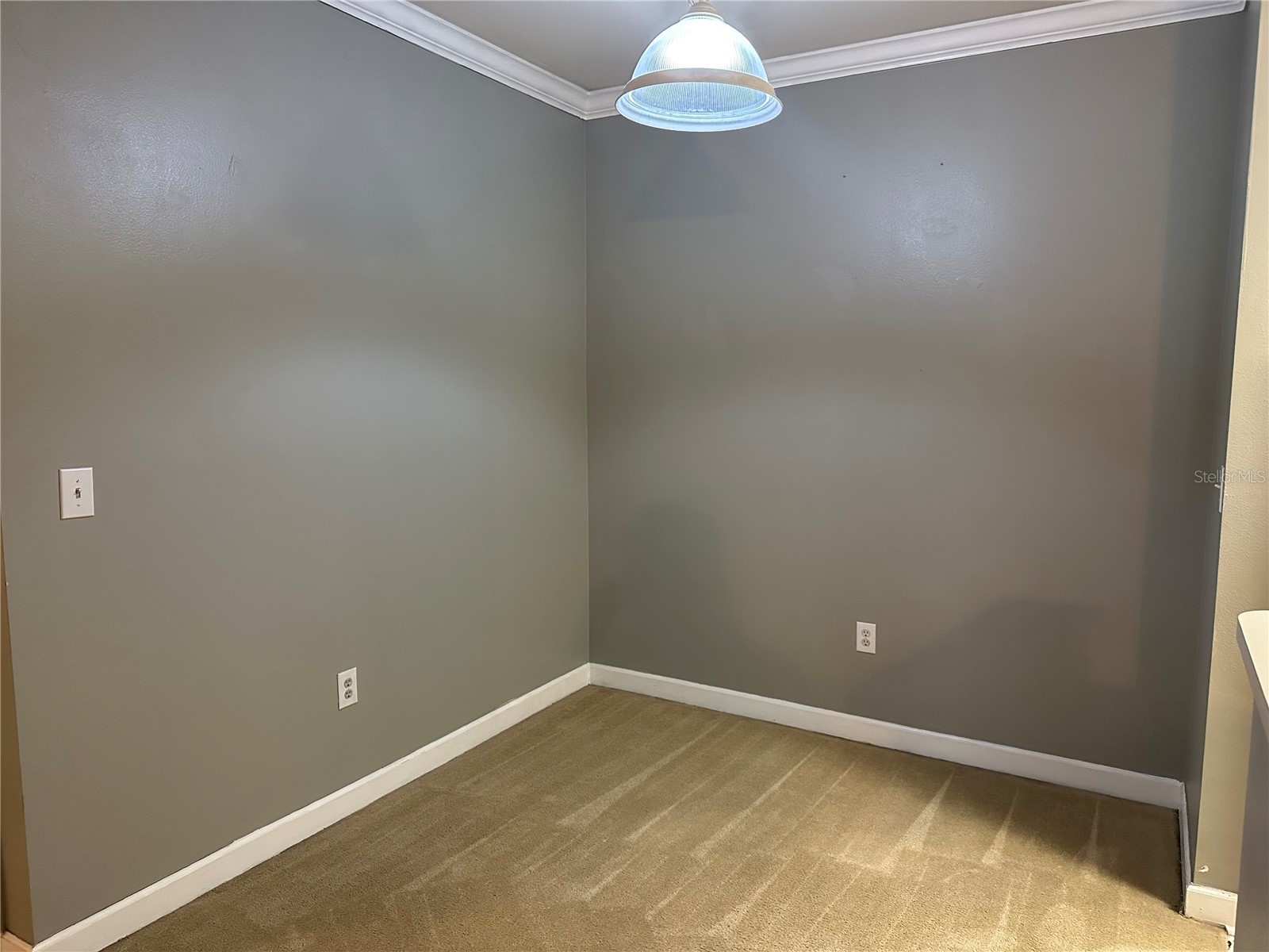 18302 Bridle Club Drive #18302 Tampa FL 33647 TB8493382 image7