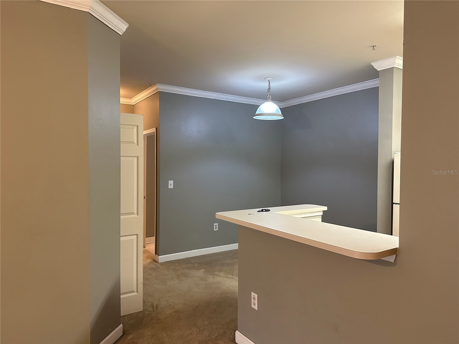 18302 Bridle Club Drive #18302 Tampa FL 33647 TB8493382 image8