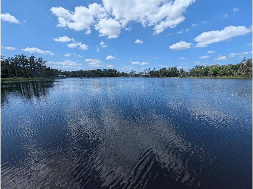 18302 Hanna Road Lutz FL 33549 - HANNA LAKE TB8367547 image11