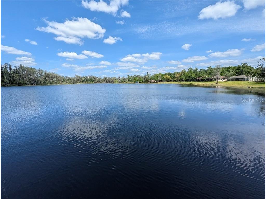 18302 Hanna Road Lutz FL 33549 - HANNA LAKE TB8367547 image12