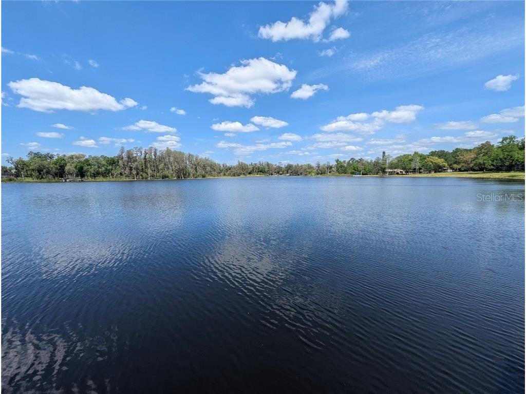 18302 Hanna Road Lutz FL 33549 - HANNA LAKE TB8367547 image13